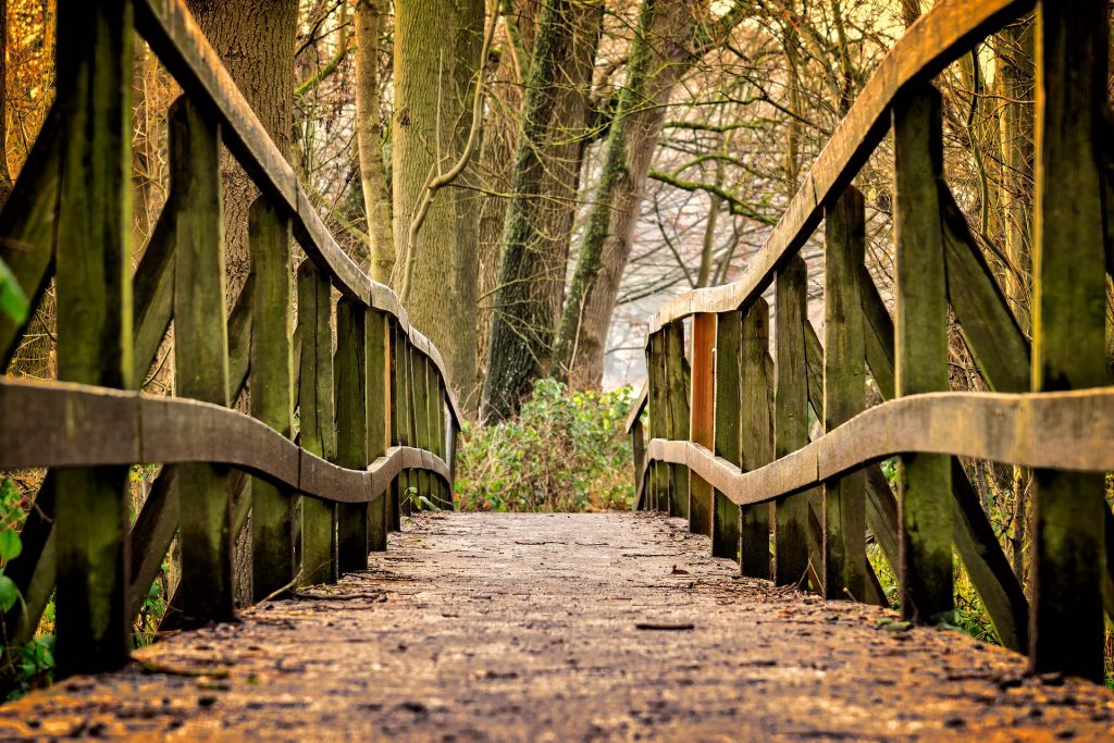 A wooden bridge in a park.