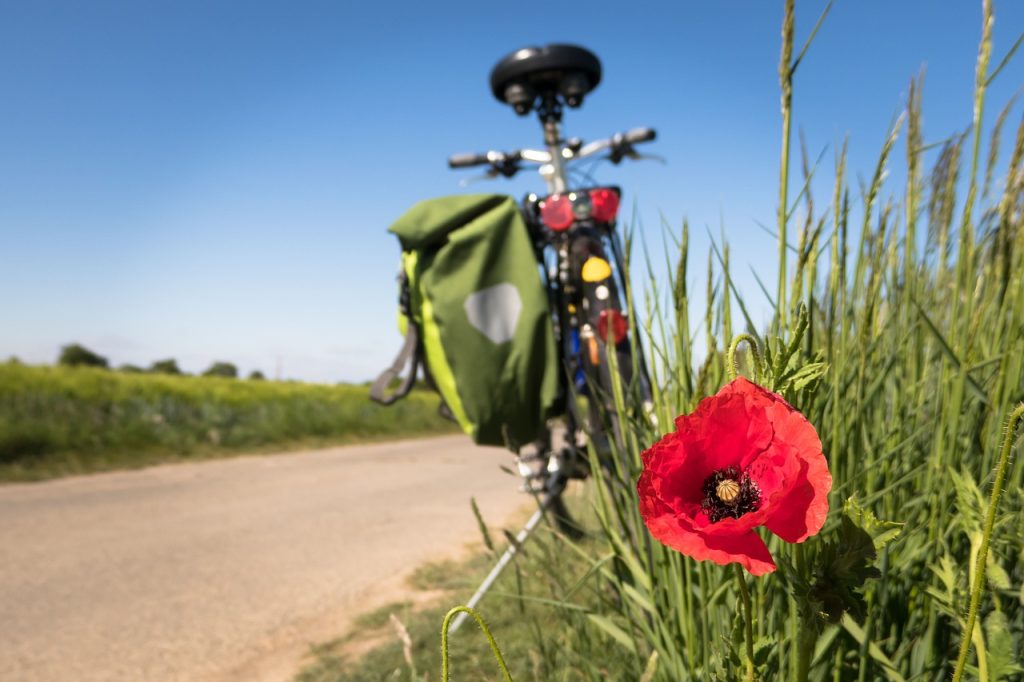 A bike parked on the side of a road by a flower.