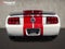 2009 Ford Mustang Shelby GT500